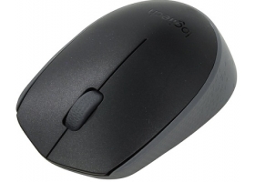 Мышь беспроводная Logitech Wireless Mouse M171 Black (910-004424