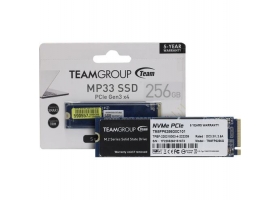 256Gb Team Group MP33 TLC, 3D, NAND (TM8FP6256G0C101)