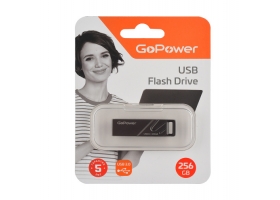 256GB USB 3.0 GoPower TITAN черный (00-00027356)